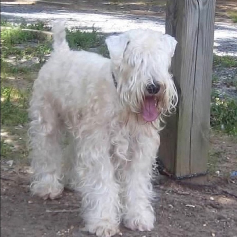 Meet your Posher, Evelyn